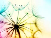 Tvůrčí psaní Zuzana Řebíková