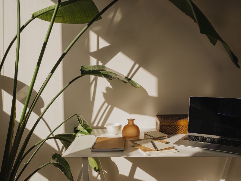 Tvůrčí psaní Zuzana Řebíková