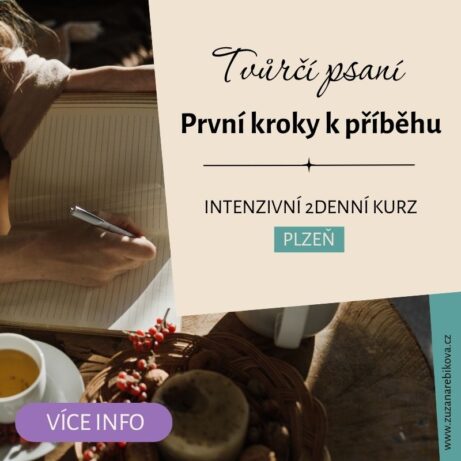 Tvůrčí psaní základy, Zuzana Řebíková